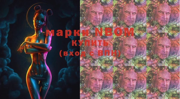 гидра Михайловка