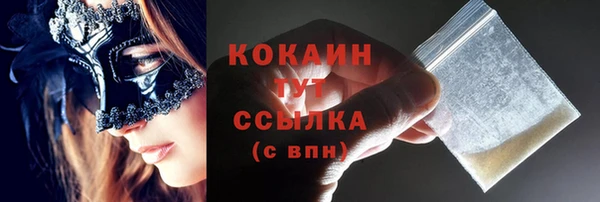 гидра Михайловка