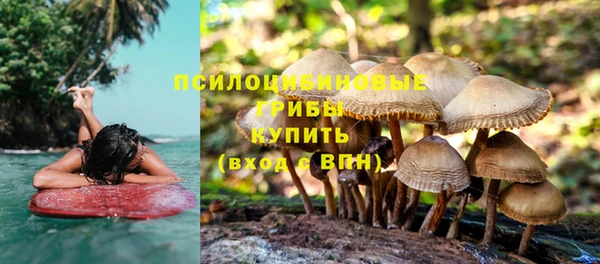 прущая мука Михайловск