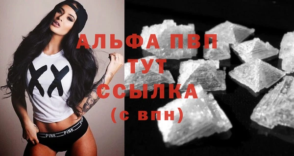 гидра Михайловка
