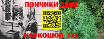 прущие грибы Гусиноозёрск