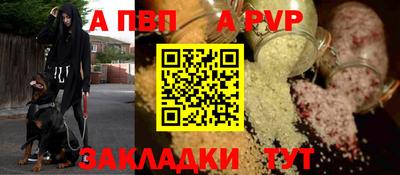 прущие грибы Гусиноозёрск