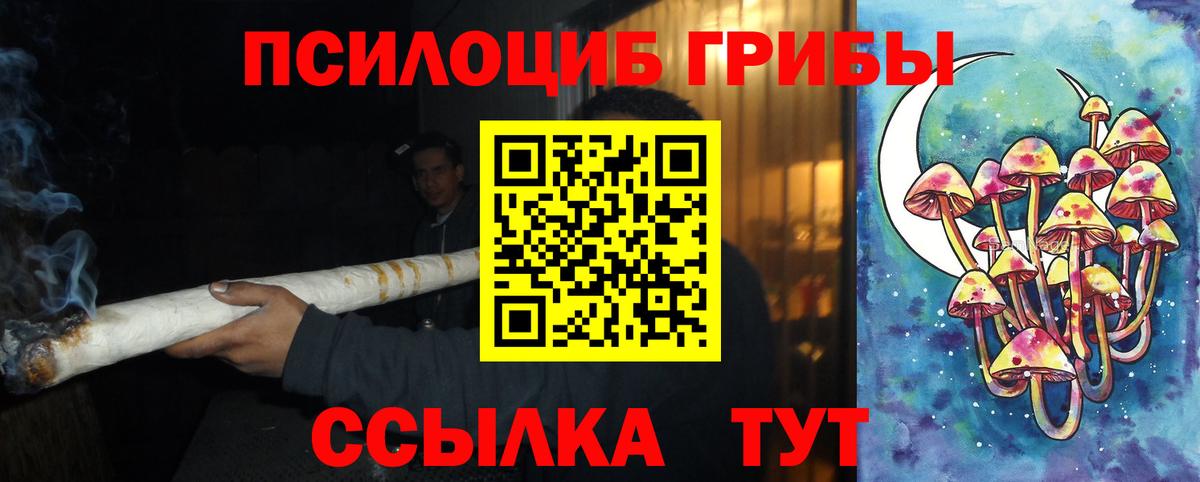 Псилоцибиновые грибы Cubensis Топки