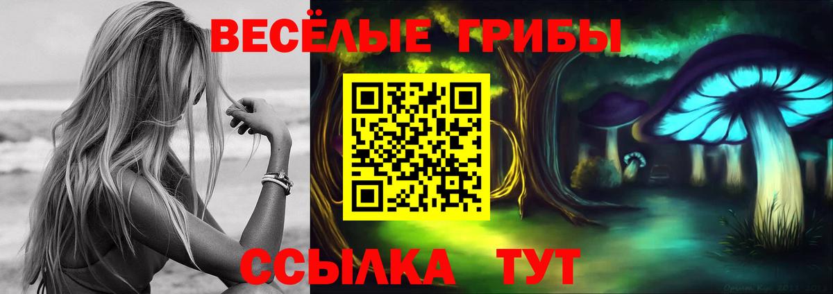 что такое наркотик  Псилоцибиновые грибы ЛСД  Вход с VPN  Топки 